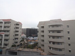 白鷹苦楽園マンションの物件内観写真